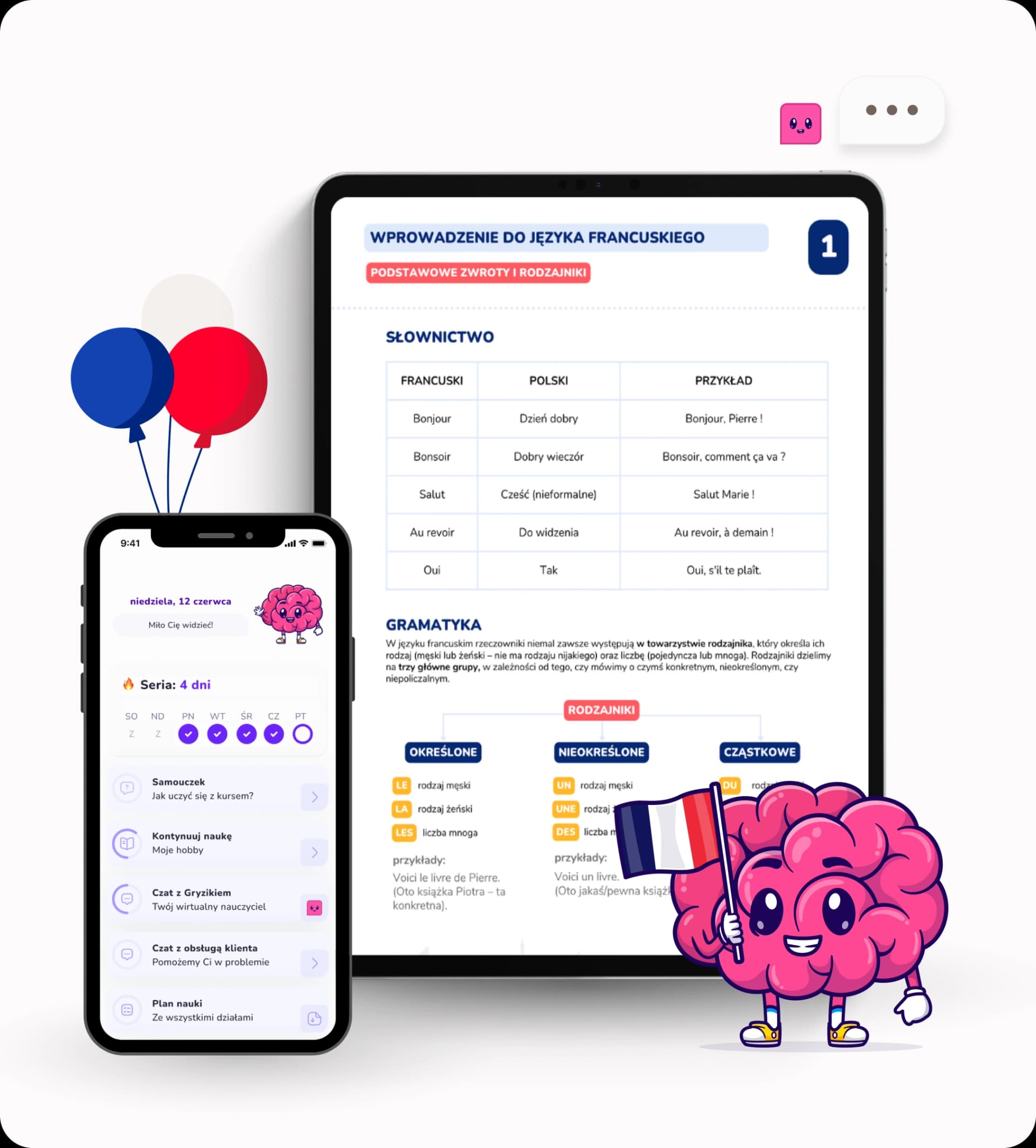 Kurs języka francuskiego dla początkujących – podgląd aplikacji
