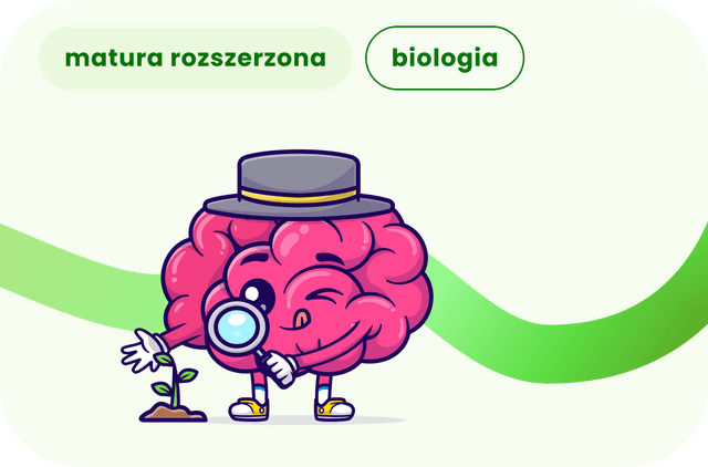 Kurs online przygotowanie do matury rozszerzonej z biologii, korepetycje szkoła średnia.